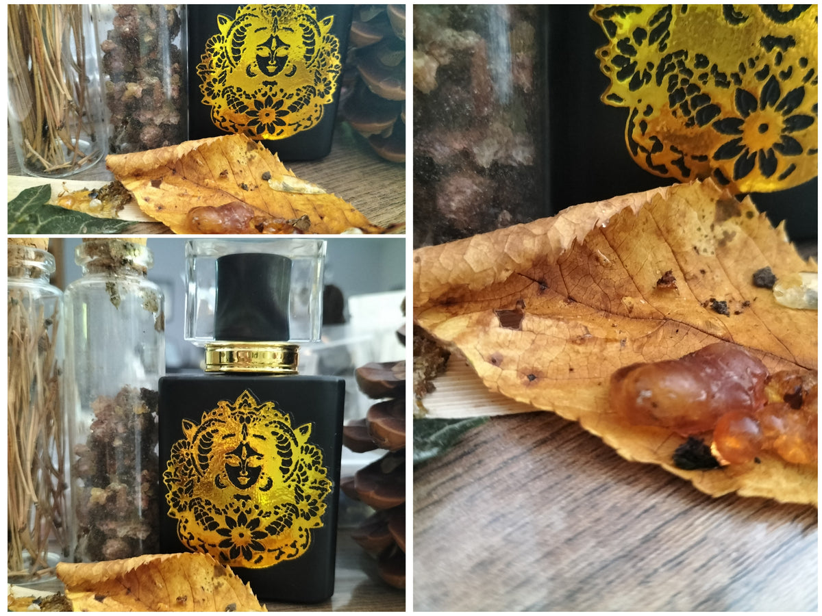 Eau de parfum huileuse