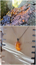 Collier Poucilina