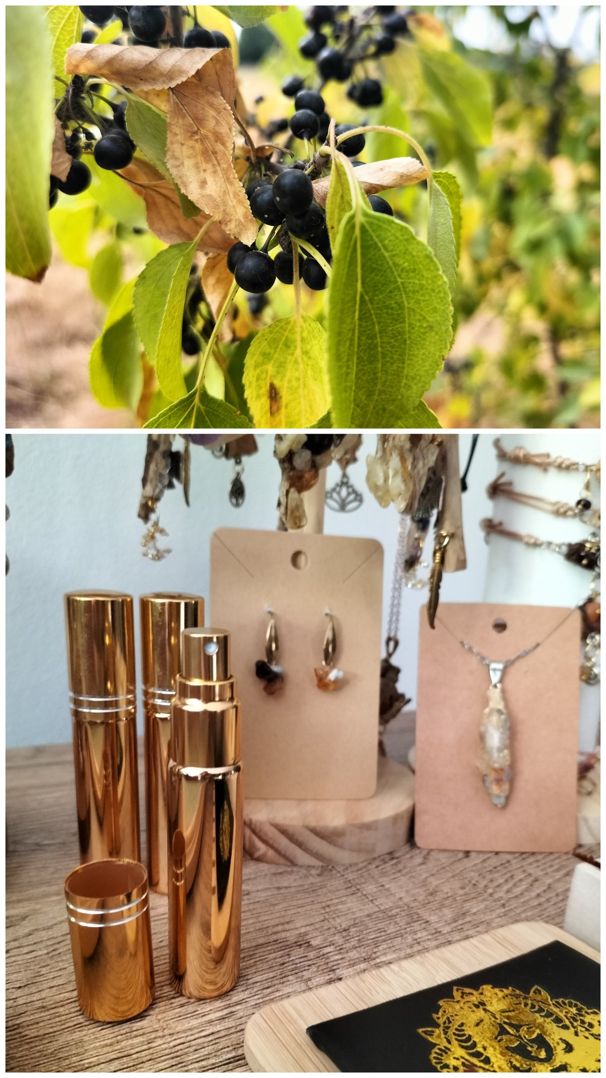 Eau de parfum huileuse