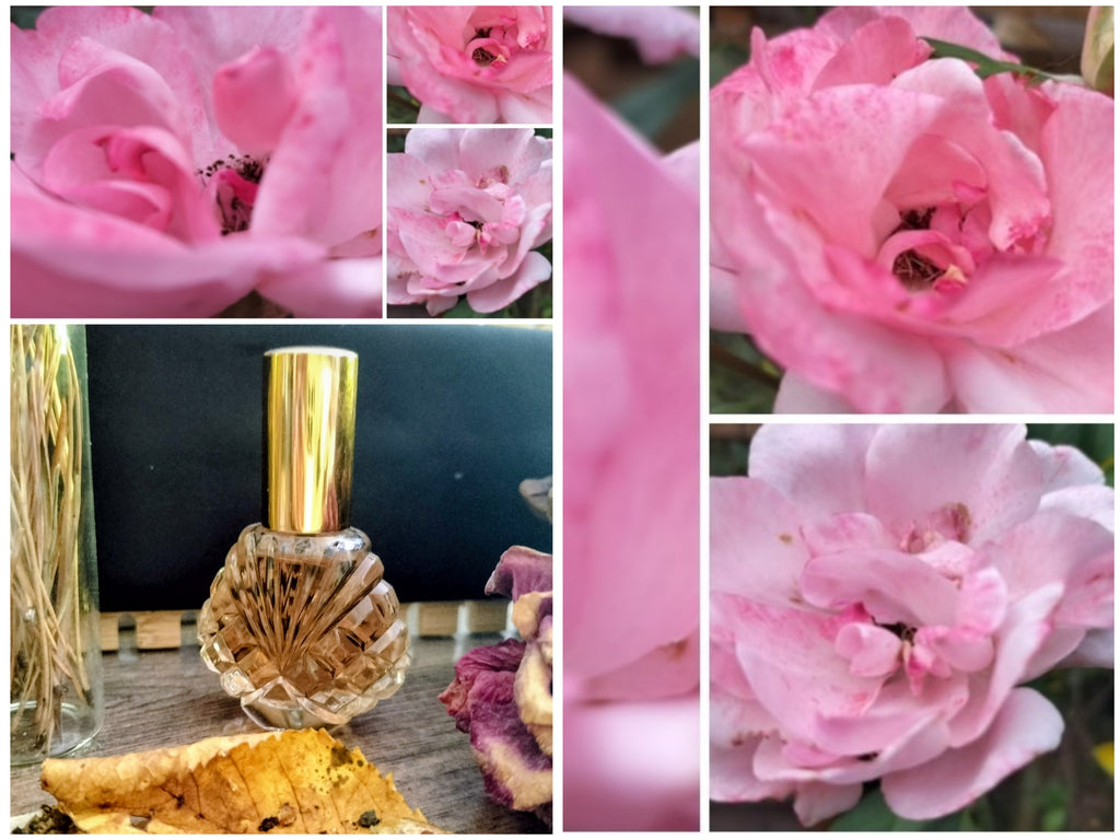 Eau de parfum huileuse