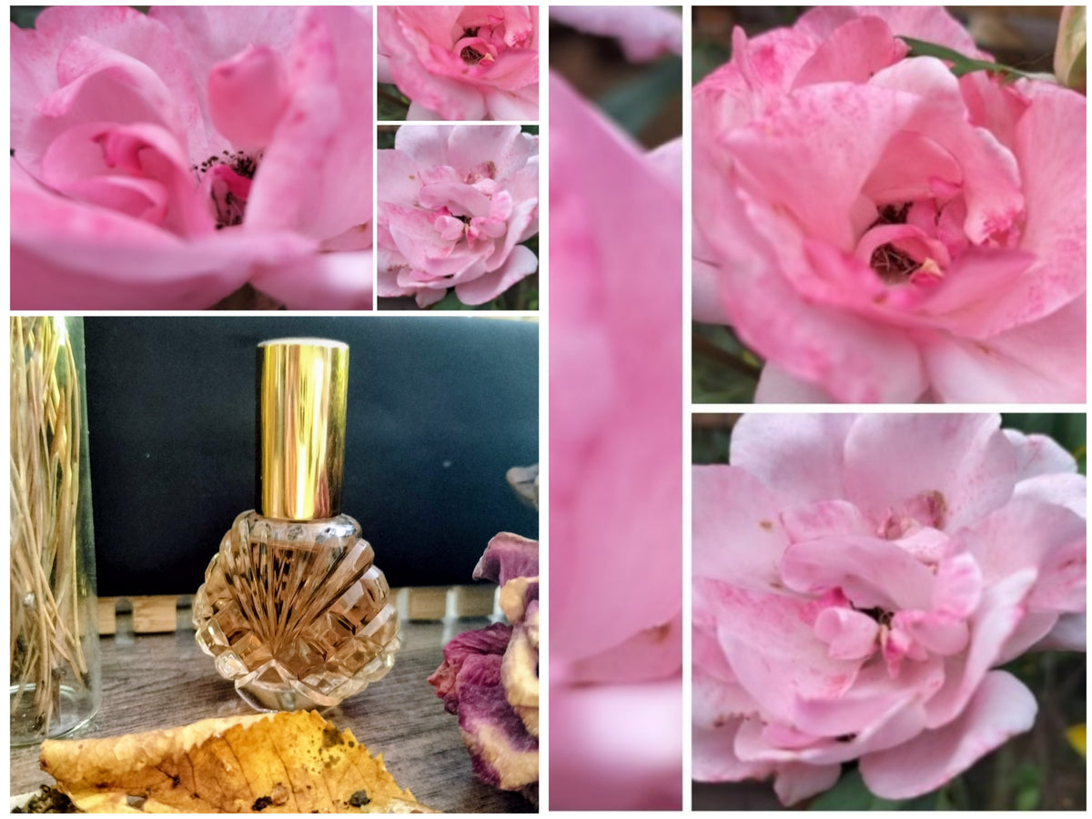 Eau de parfum huileuse